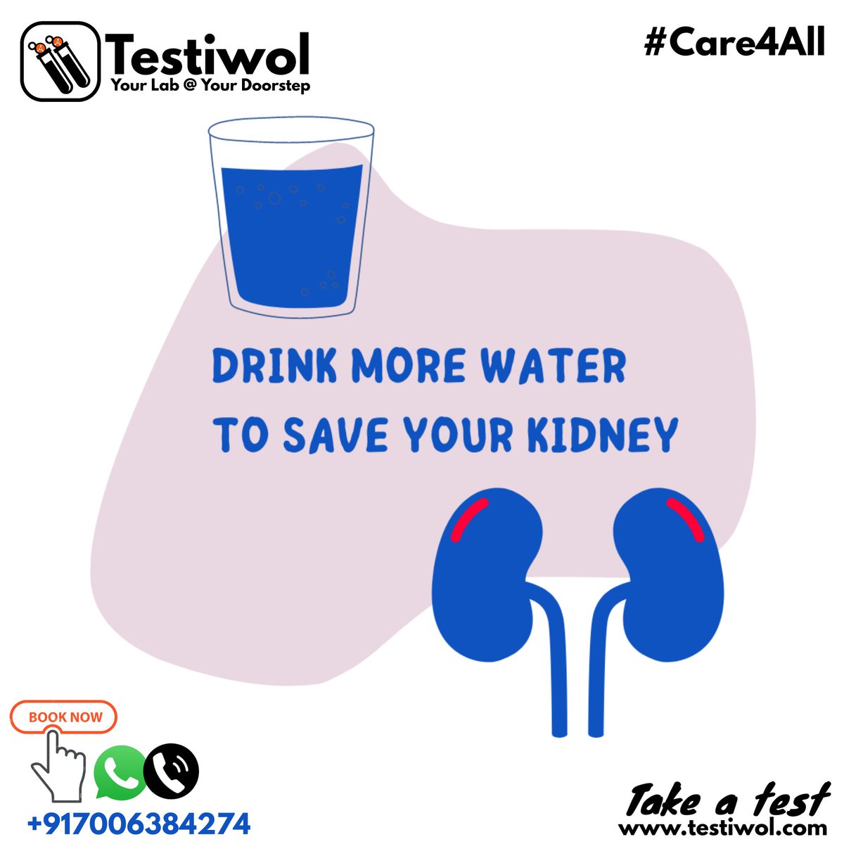 testiwol's tweet photo. Drink more water to save your kidney

#testiwol #yourlabatyourdoorstep #homesamplecollection #bloodtestonlinereport #bloodtestonline @redcliffelabs @curelohealth @atulayahealthcare @atulayasouthkmr @krsnaadiagnostics @corediagnostics @gk_labs @kashmir_angels @sofidiagnostics https://t.co/8D24Ayh7cH