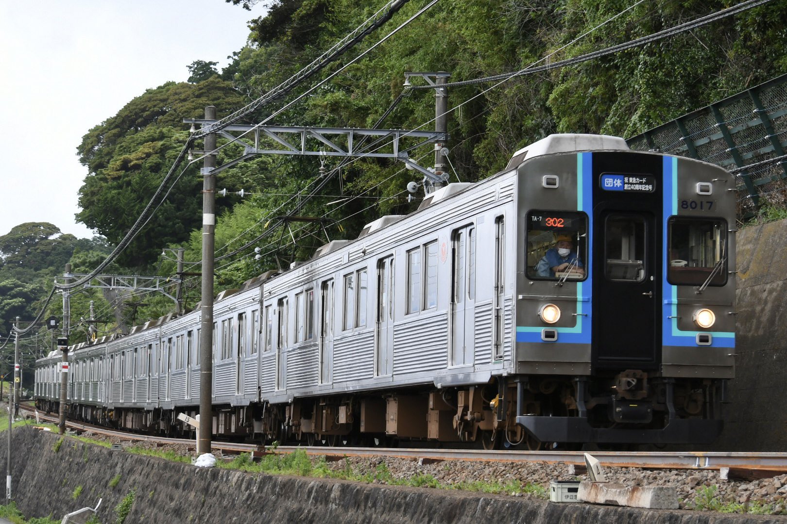 出品終了の為、最終値下げ　伊豆急100系 サロ　東急車輌 台車銘板 TS-318 伊豆急8000系TA-7編成 歌舞伎ラッピング - YouTube