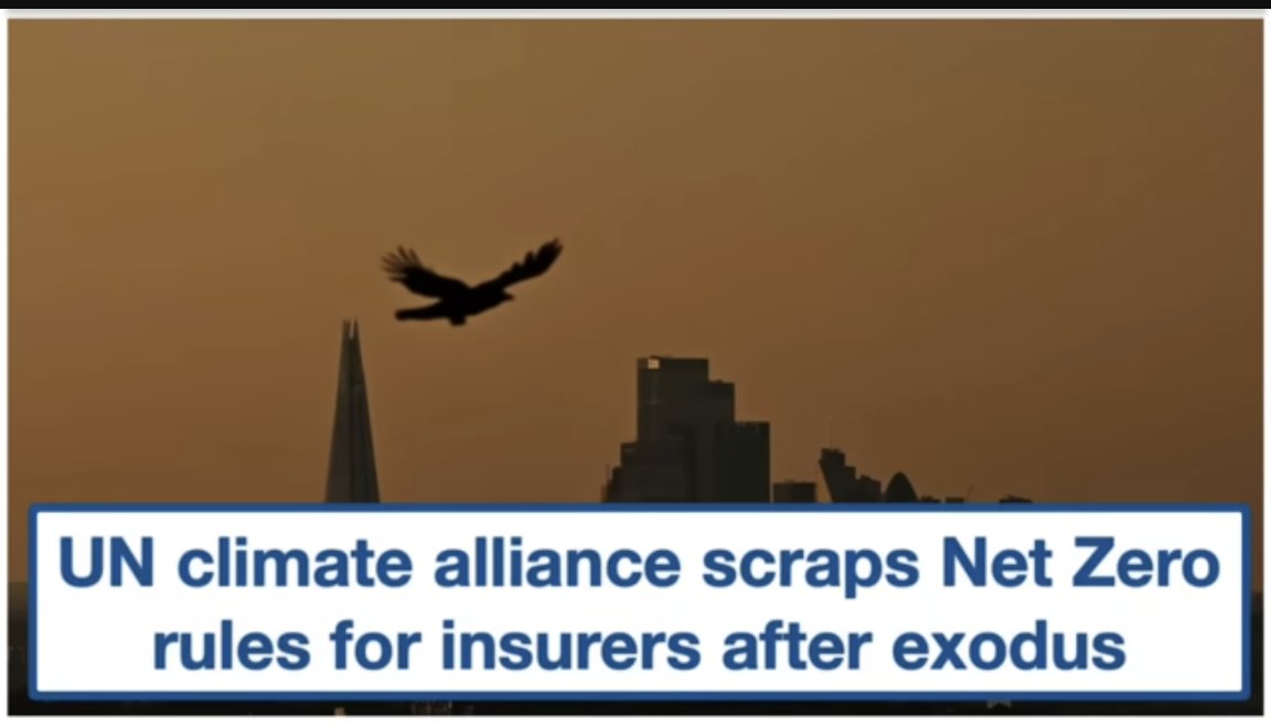 June Slater tweet media