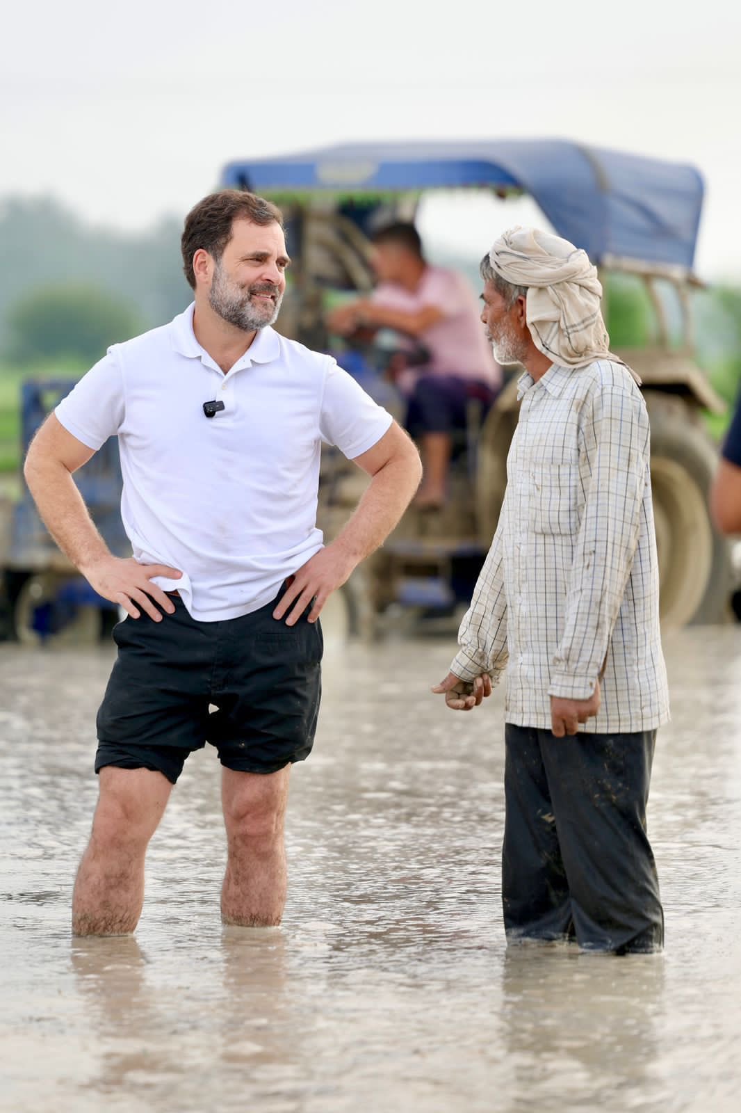 खेतों में जाकर राहुल गांधी ने सुनी किसानों के मन की बात, बन गए किसान, साथ में धान रोपा और …-Rahul Gandhi went to the fields, listened to the thoughts of the farmers, became a farmer, planted paddy together and…