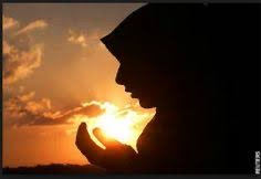 Shoaib Jatt tweet media