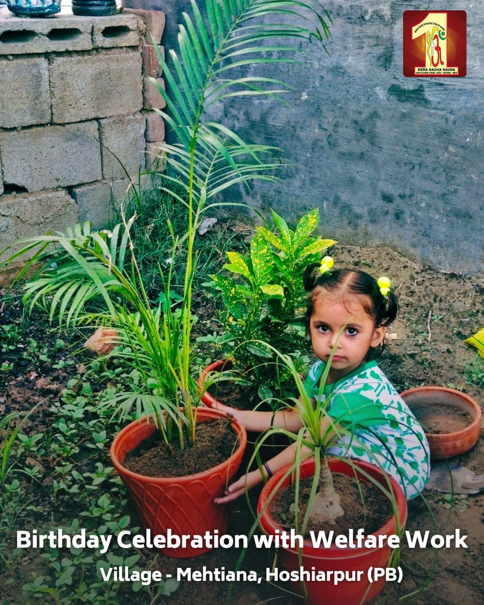 DSSNewsUpdates's tweet photo. Birthday celebration turned meaningful by #DeraSachaSauda volunteers! 🎂 Celebrating the special day with tree plantations 🌳 and blood donations 🩸, they've exemplified that true happiness lies in giving back to community. #TreePlantation #BloodDonation #CelebrationWithWelfare https://t.co/SqaMB6YNdS