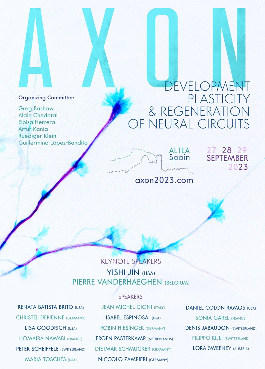 Lab E. Herrera (@labeherrera) on Twitter photo 📢 Be aware that the deadline to submit your abstract to the AXON-2023 meeting is open until July 20th 🗓️. Join us in Alicante and be part of an unforgettable event with an impressive lineup of speakers. Register now at axon2023.com <a href="/NeuroAlc/">Instituto de Neurociencias UMH-CSIC</a> 📢 Be aware that the deadline to submit your abstract to the AXON-2023 meeting is open until July 20th 🗓️. Join us in Alicante and be part of an unforgettable event with an impressive lineup of speakers. Register now at axon2023.com <a href="/NeuroAlc/">Instituto de Neurociencias UMH-CSIC</a>