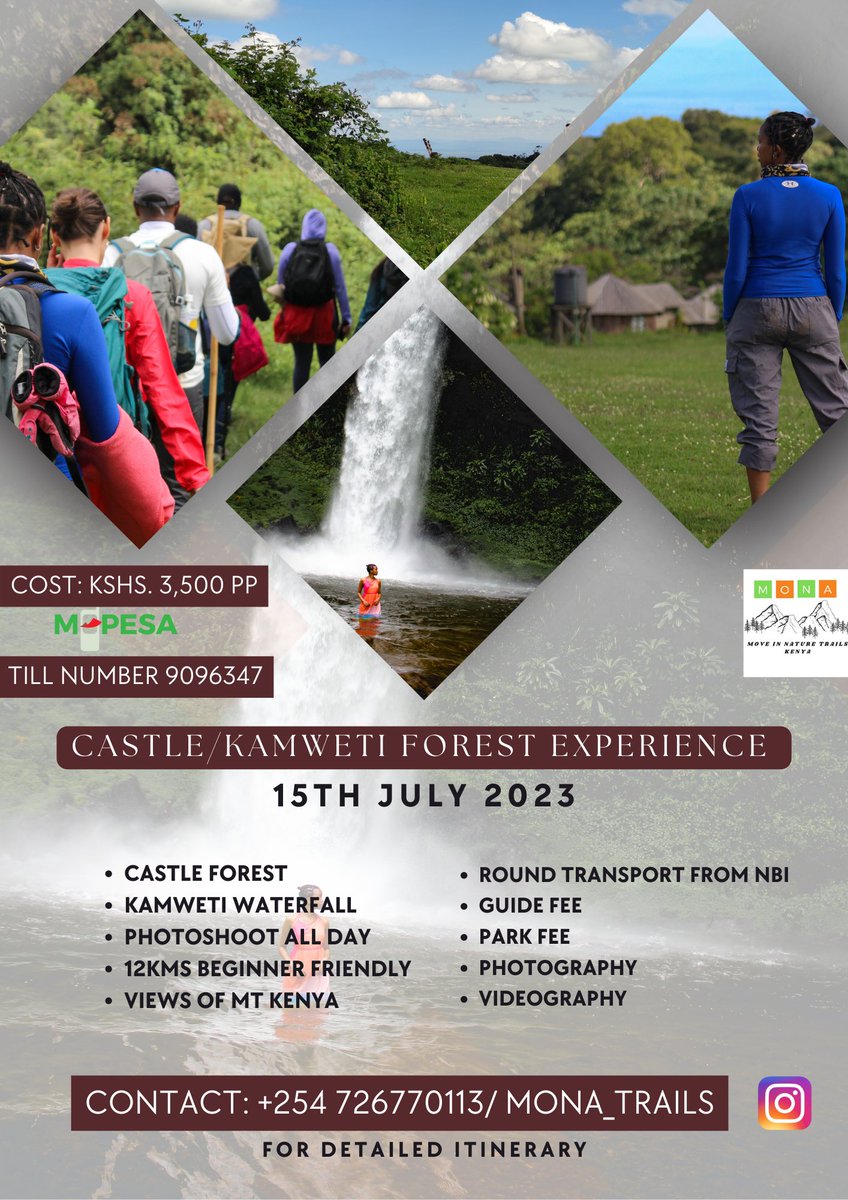 themkare's tweet photo. This trip is open to all including fit beginner hikers. Don't forget to pack a dress/suit π
#castleforest #kamwetiforest #mtkenya https://t.co/bgnI8I9EVw