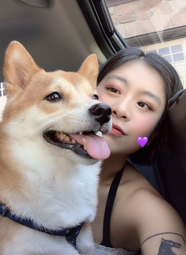 金園 (@seojung241) on Twitter photo 