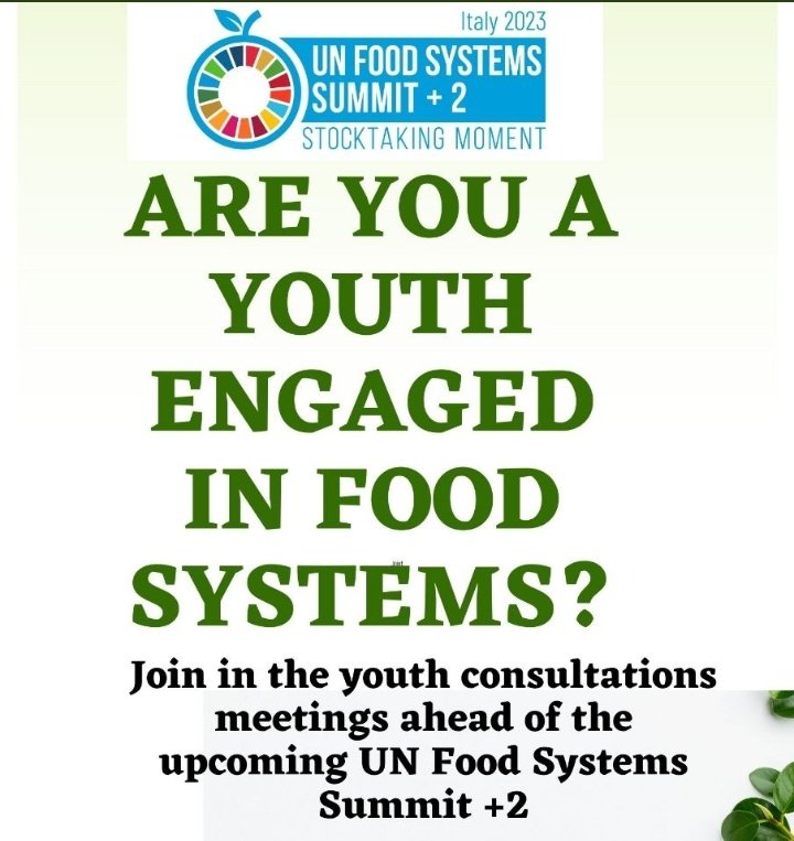 This morning I represented @GcuCsayn on the Youth Consultation Forum ahead of UN Food System Summit.I shared my insights on #Urbanfarming and Neglected and underutilized crops for #FoodSecurity.