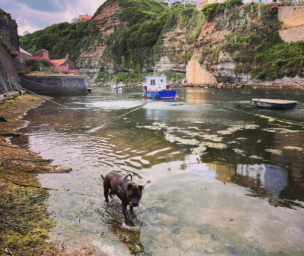 DiscoverCoast's tweet image. The delightful village of #Staithes 🧡 This is one of those places you&apos;ll never forget, whether you&apos;re exploring the coast paths, digging in the rock pool or fossil hunting on the beach. Have you been?

📍Staithes
📸benjicordingley