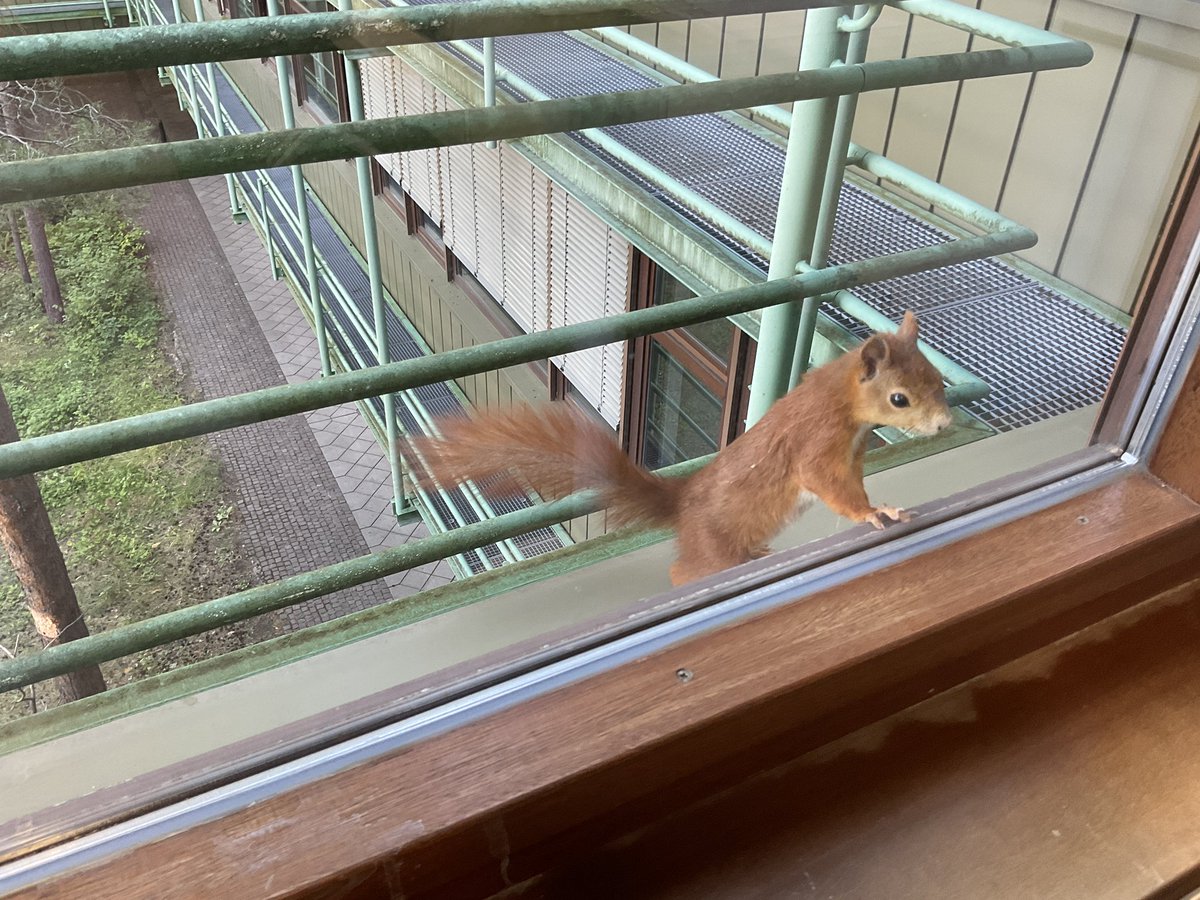Hey, curious about what I am doing in my office? Perhaps you think quantum physicists are nuts.