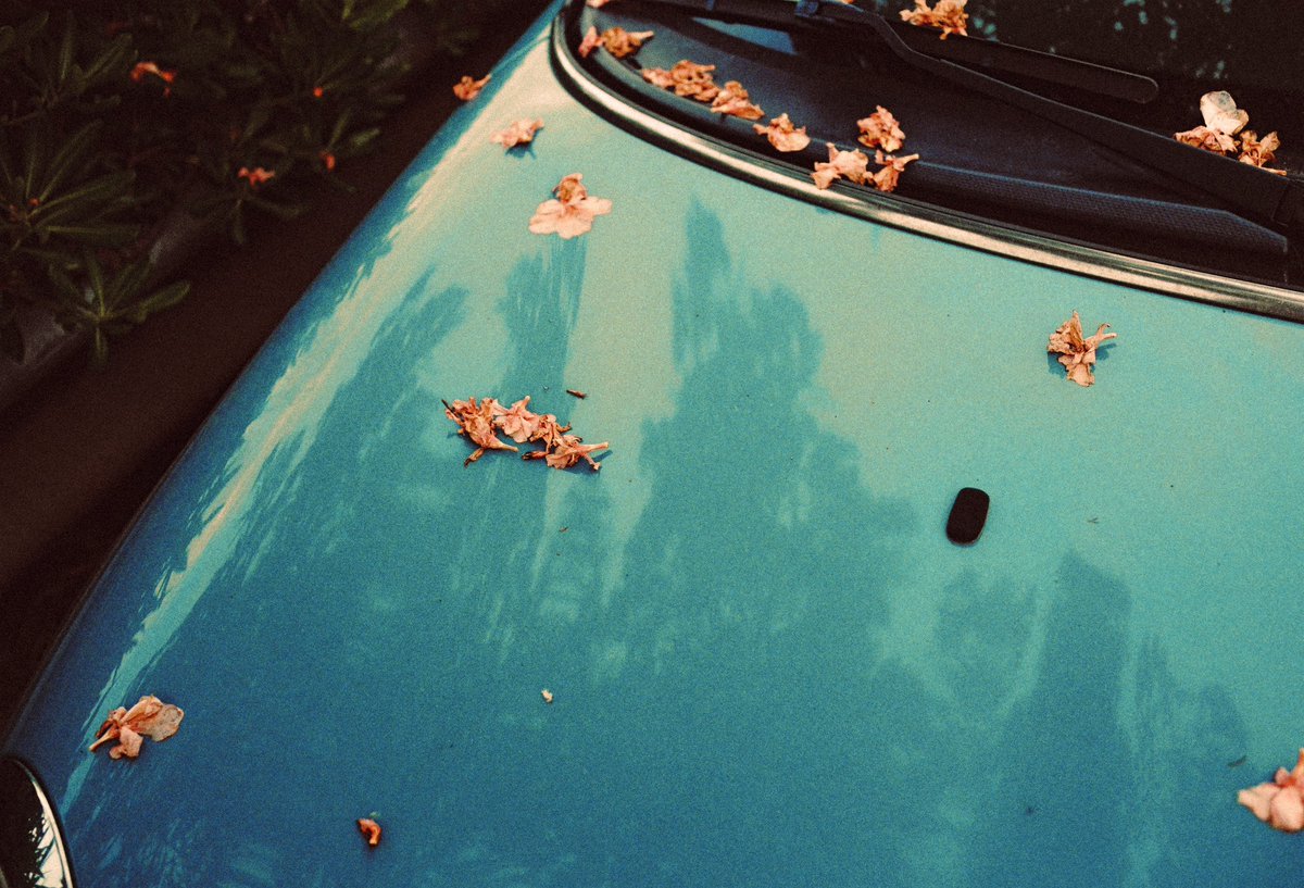 Somewhere in Italy on 35mm Kodak Gold 🎞️