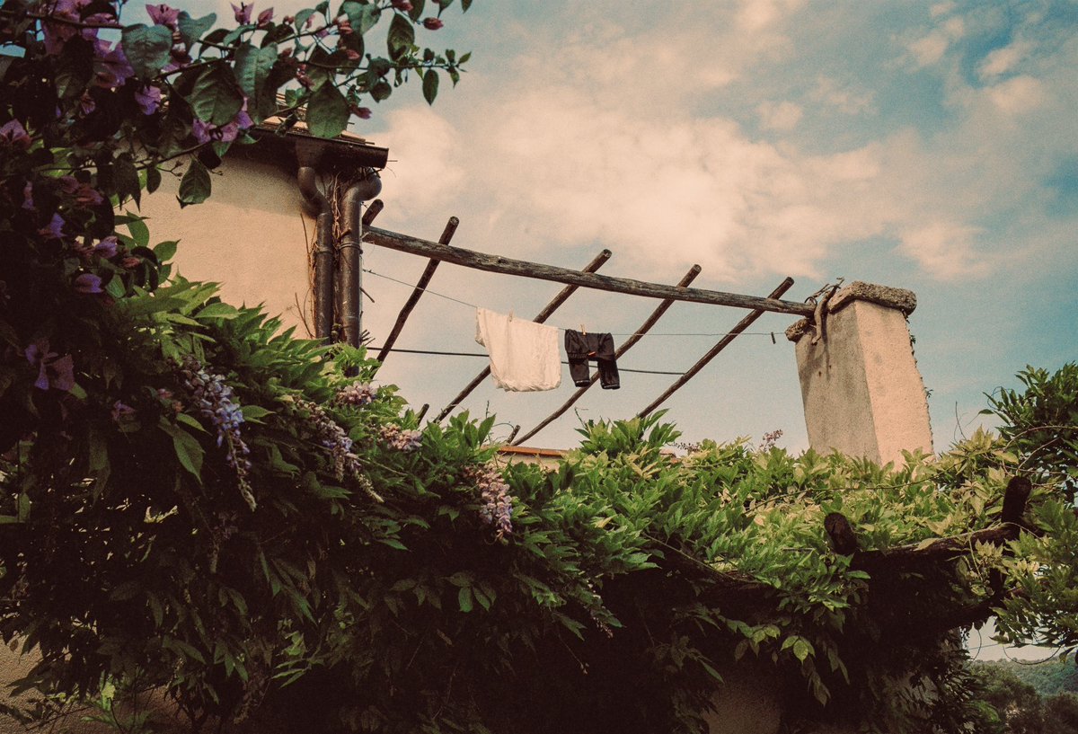 mrmaxcremer's tweet photo. Somewhere in Italy on 35mm Kodak Gold 🎞️ https://t.co/bziH954cdO