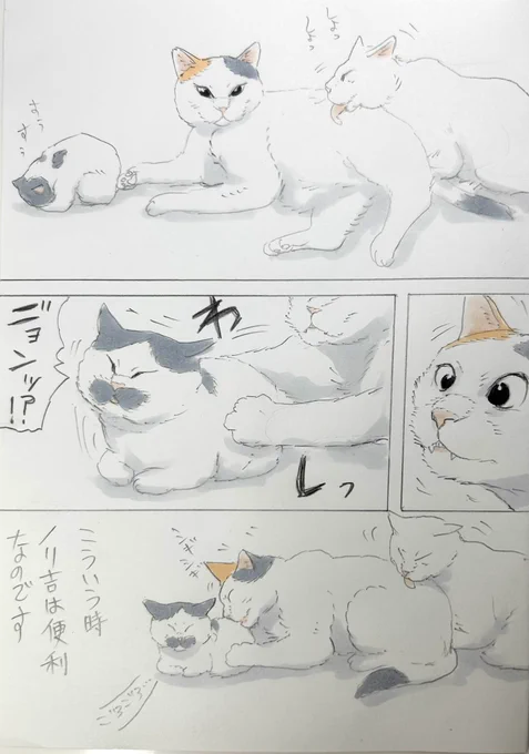 まいにちノリ吉 