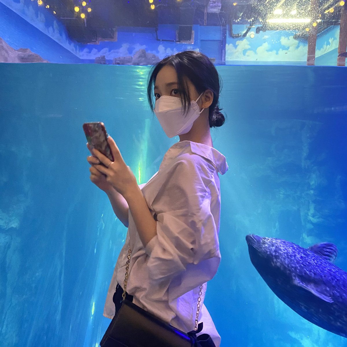 sanriovauIt's tweet photo. La visita al acuario fue parte de la preparación para el #𝔤la͠𝔪岩石𝔦m𝚙act! Así que voy más que lista por esta #𝑓a𝚣b𝚎๑r·𝔭art𝔶 y chillarles con el delfín de peluche (⁠≧⁠▽⁠≦⁠)!🐳 Y welcome the#𝑝l𝚊nēt७𓈒࣪𝑑𖦹l𝔩.

˚ . 𓏸 暗い, 𝑘üro𝚖i ✿יִ 𝑟o𝚗ie https://t.co/ox1SFvIuNy