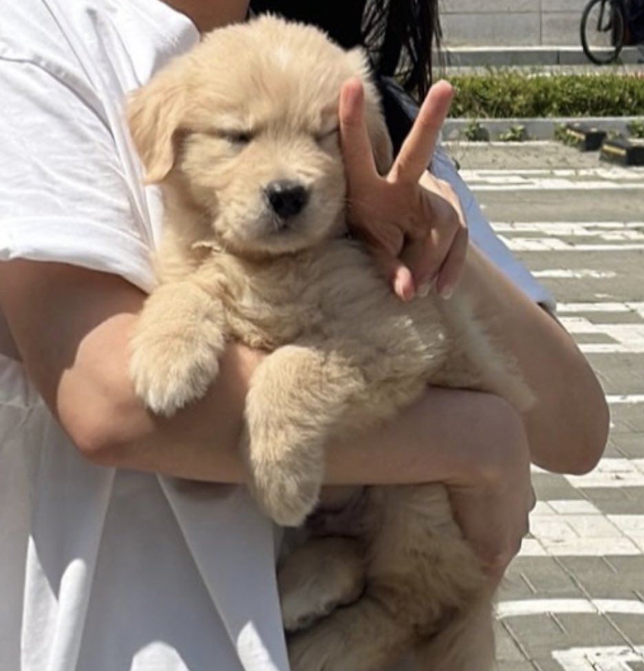 ไปอุ้มม๋าตุวอื่นม่ายต้องมาเล่นด้วยเลย