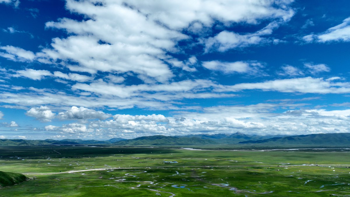 FlyOverChina's tweet photo. Located on the northeast brink of the #Qinghai-Tibet Plateau, #Maqu County boasts an extensive presence of #grasslands and #wetlands. Maqu, meaning "the Yellow River" in the Tibetan language, is the only county named after the "Yellow River" in China. #flyoverchina https://t.co/4pwqR6mXoI
