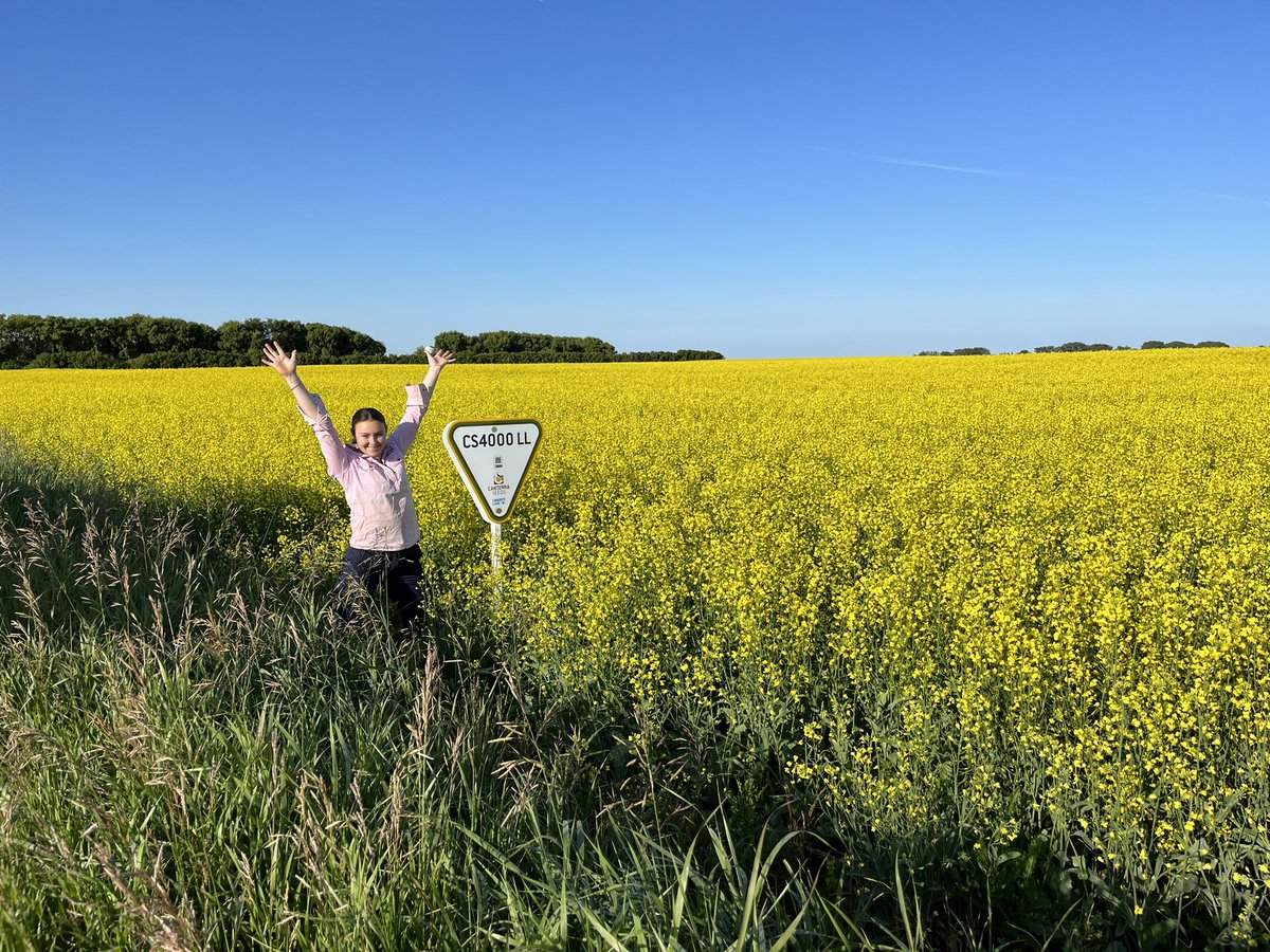 Brad Schemenauer tweet media