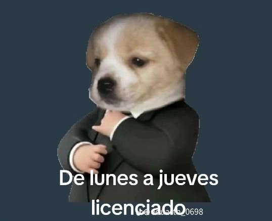 soysaverio's tweet photo. fin de andar tumbado. https://t.co/5Z5ihUOKTh