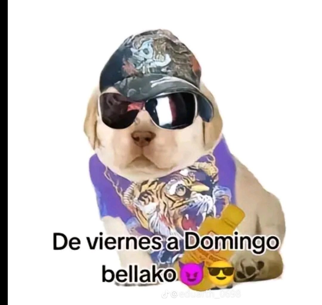 soysaverio's tweet photo. fin de andar tumbado. https://t.co/5Z5ihUOKTh