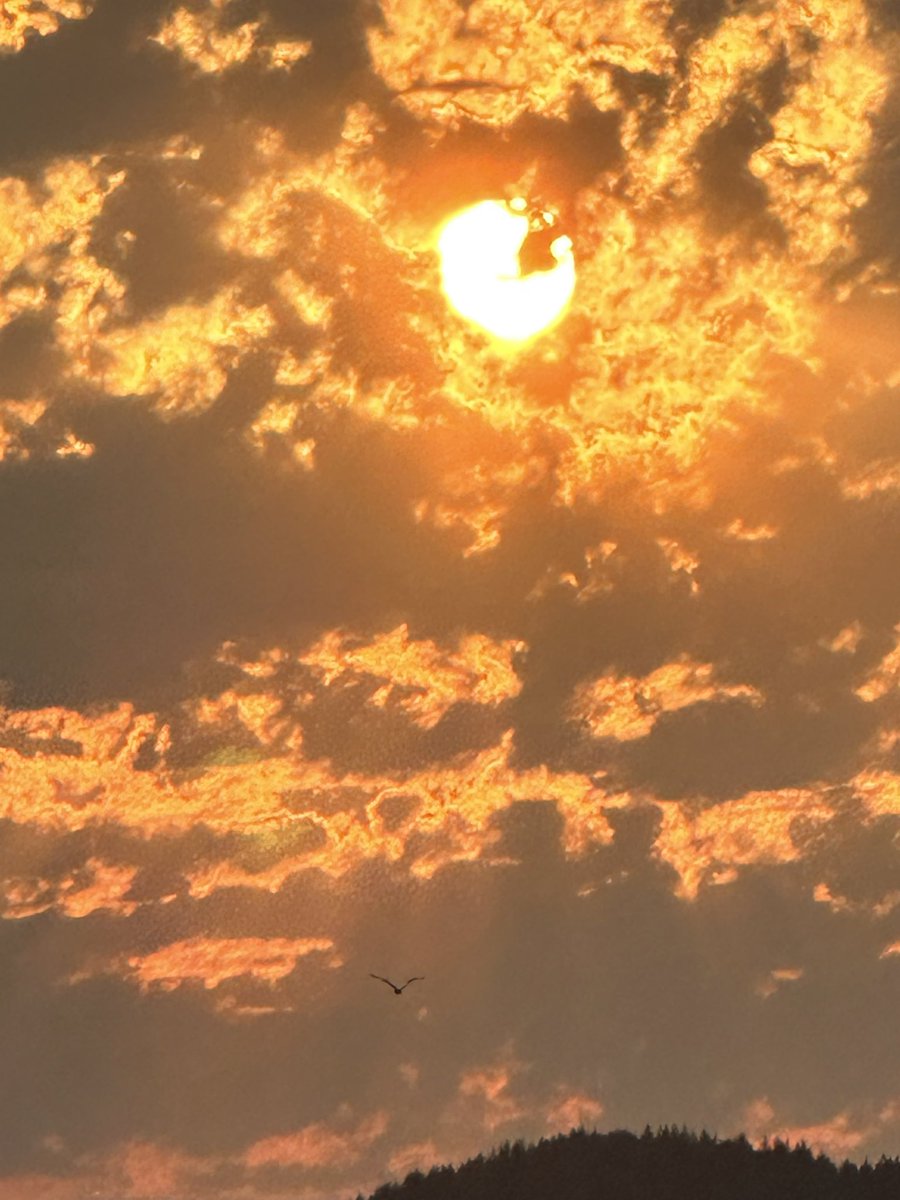 aamui's tweet photo. #sunshine #westvancouver #peace #newdirections #breakthough #dynamicmindset https://t.co/fuFTETI96J