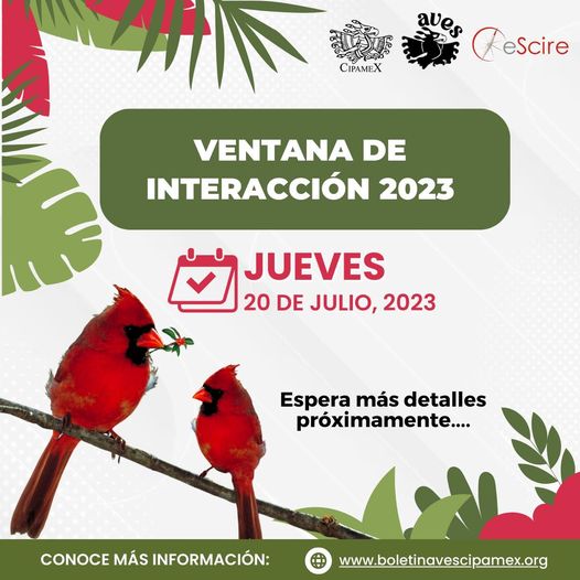 cipamexac's tweet photo. ¡Atención! ¡Próximo evento!
“Ventana de interacción 2023”
Iniciamos con actividades este año por parte de Cipamex AC
 ¡Conectáte este jueves 20 de julio de 2023!
¡Muy pronto más información en nuestras redes sociales!#CIPAMEX #Aves #divulgación #naturaleza #ornitologia https://t.co/Qs2bJiDs7n
