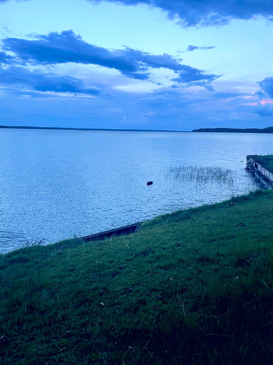 JoshWine's tweet photo. “The new life into which we are baptized is lived out in days, hours, and minutes. God is forming us into a new people. And the place of that formation is in the small moments of today.”
- Tish Harrison Warren, Liturgy of the Ordinary https://t.co/8rWVrbH9eY