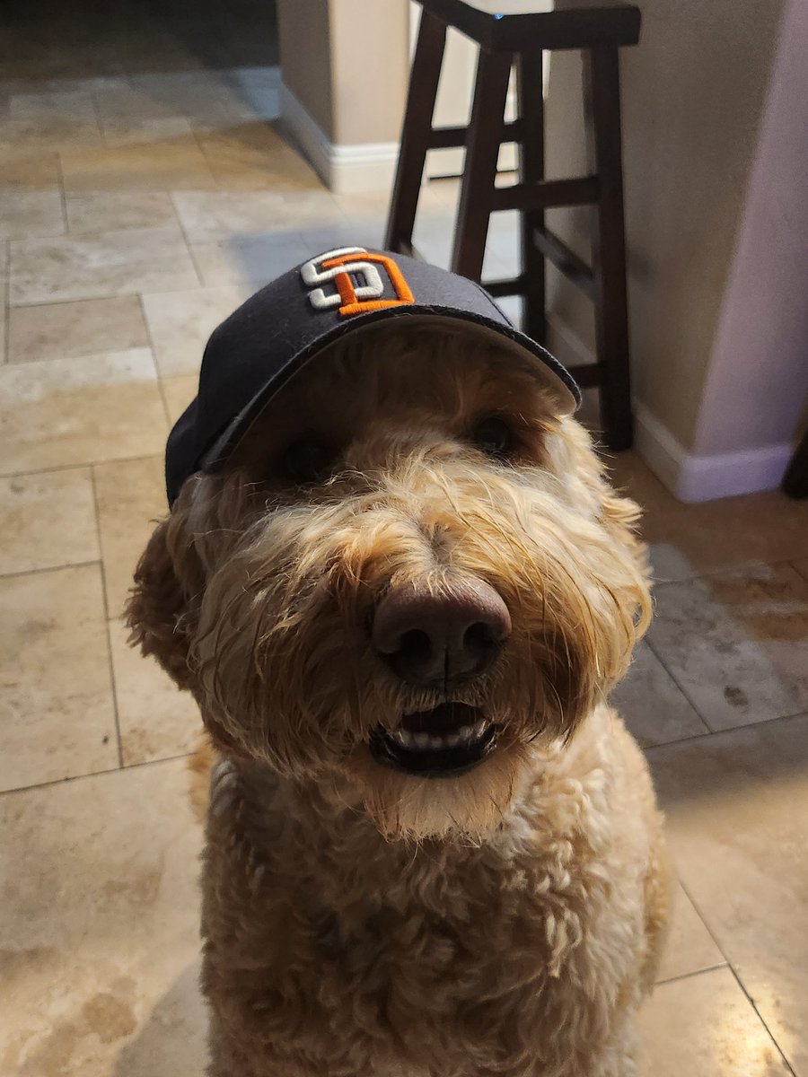 #padrespets