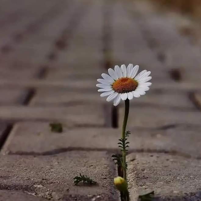 Amal98992447's tweet photo. #ثريدزأن يسعك.... المكان ليس بالضرورة أنه يناسبك https://t.co/s6RY0IxmWf
