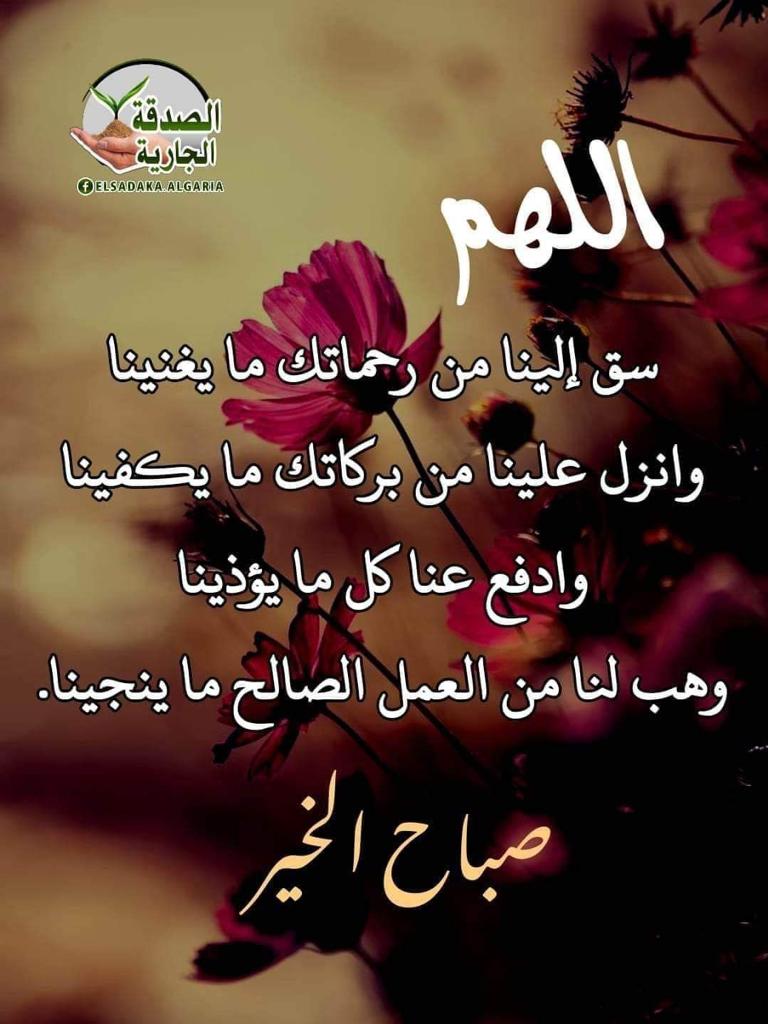 mohamedhwees's tweet photo. ⚘️ مواعظ⚘️
🔲 ﴿وكلهم آتيه يوم القيامة فردًا﴾ لن يصحبنا أحد للدفاع عنا فيجب أن نقاوم كل اغتصاب لخياراتنا التي تكفل نجاتنا ✨️عبدالله بلقاسم✨️🥰
🔲 ومـضة:صنائع المعروف  يصرف به الله عنك نوائب الدهر👍😍
🔲همسه:ثمرة صلاحك اليوم ، يجنيها أبناءك غداً❤️ https://t.co/HdlRWgLYbf