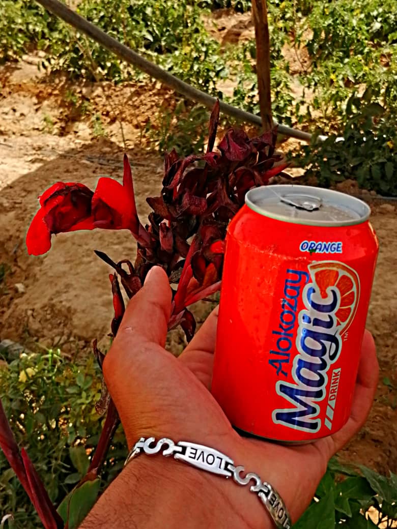 janatkhan2023's tweet photo. #Alokozay_Magic fresh feeling, antiheating, and unique taste
#AlokozayAfghanistan
#الکوزی_مېجک
#الکوزی_افغانستان https://t.co/oV97zVLQTm