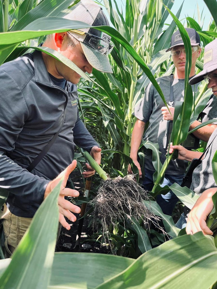 Getting the crew ready for tar spot &amp; rootworm  scouting. Round 1 starts next week! #scout23