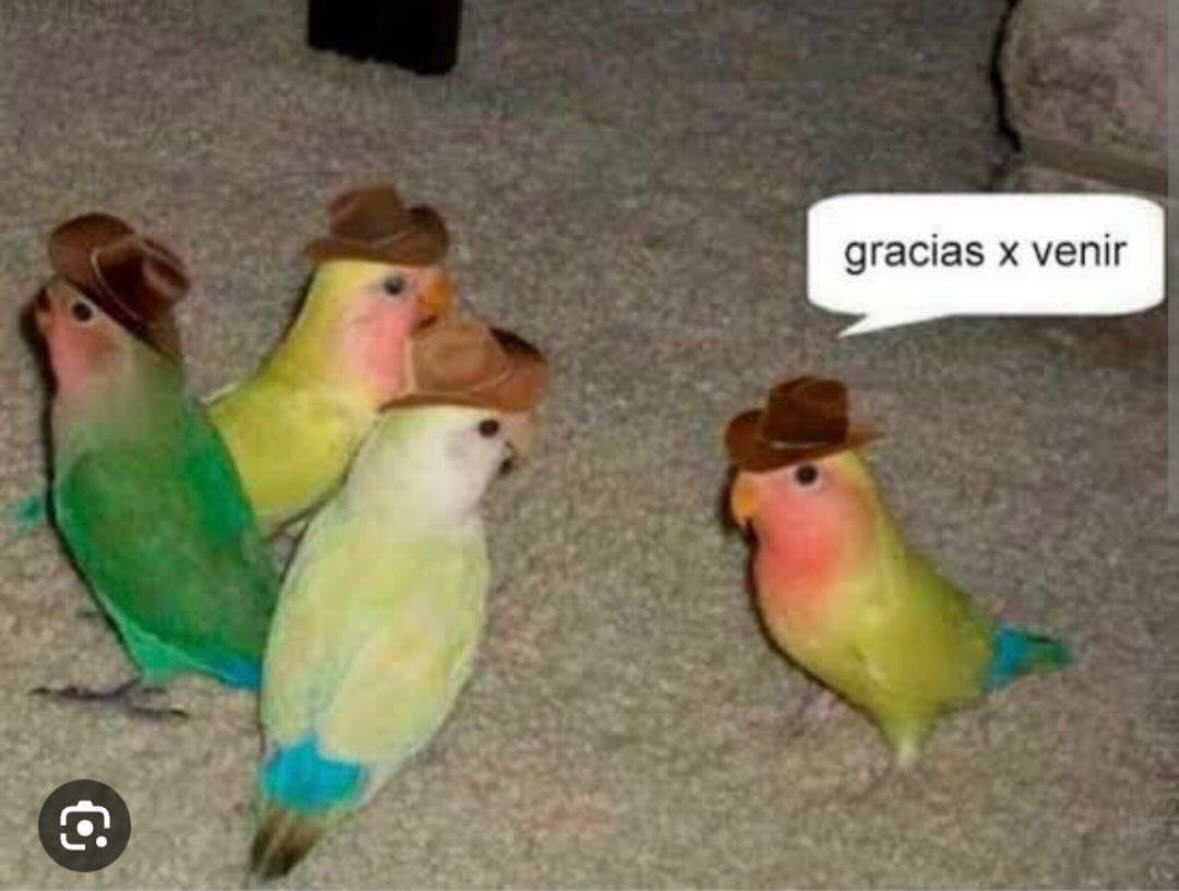 Sensations Store tweet media