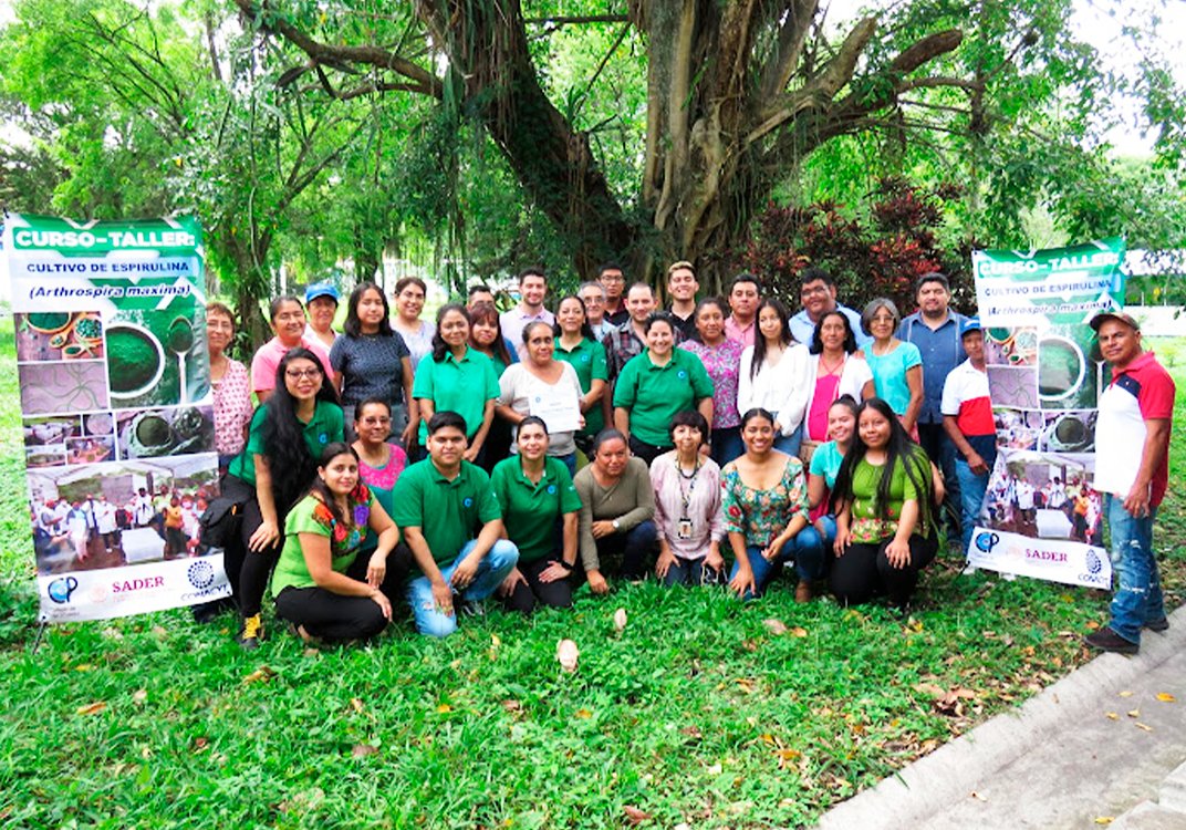 NBCDiario's tweet photo. 📢 ¡Exitoso curso de cultivo de #espirulina en #Veracruz! 

Productores, académicos y público en general se capacitaron en el Colegio de Postgraduados Campus #CórdobaVeracruz

Conoce los beneficios de esta cianobacteria  💚🌱

https://t.co/PWZDzmGkO3 https://t.co/vbJl0epAzO