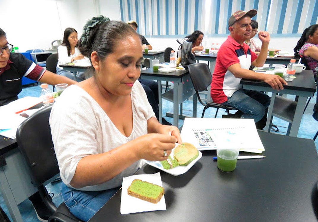 NBCDiario's tweet photo. 📢 ¡Exitoso curso de cultivo de #espirulina en #Veracruz! 

Productores, académicos y público en general se capacitaron en el Colegio de Postgraduados Campus #CórdobaVeracruz

Conoce los beneficios de esta cianobacteria  💚🌱

https://t.co/PWZDzmGkO3 https://t.co/vbJl0epAzO