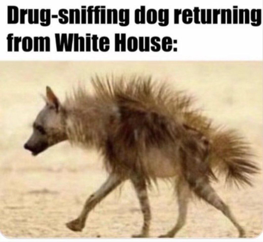 koonuts's tweet photo. @TheSGTJoker @GOP https://t.co/rURdLyz0FY
