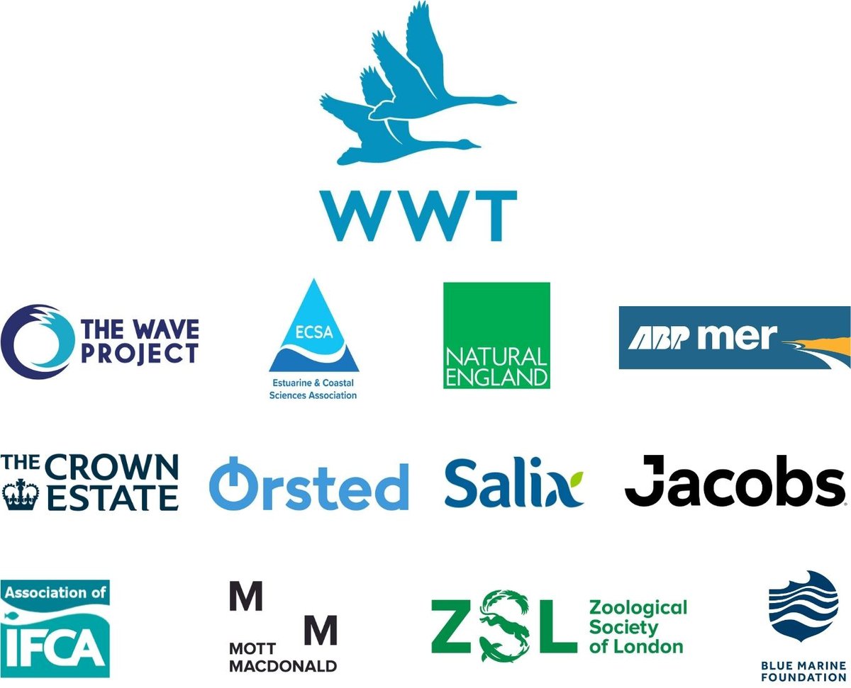 Ocean and Coastal Futures (OCF) tweet media