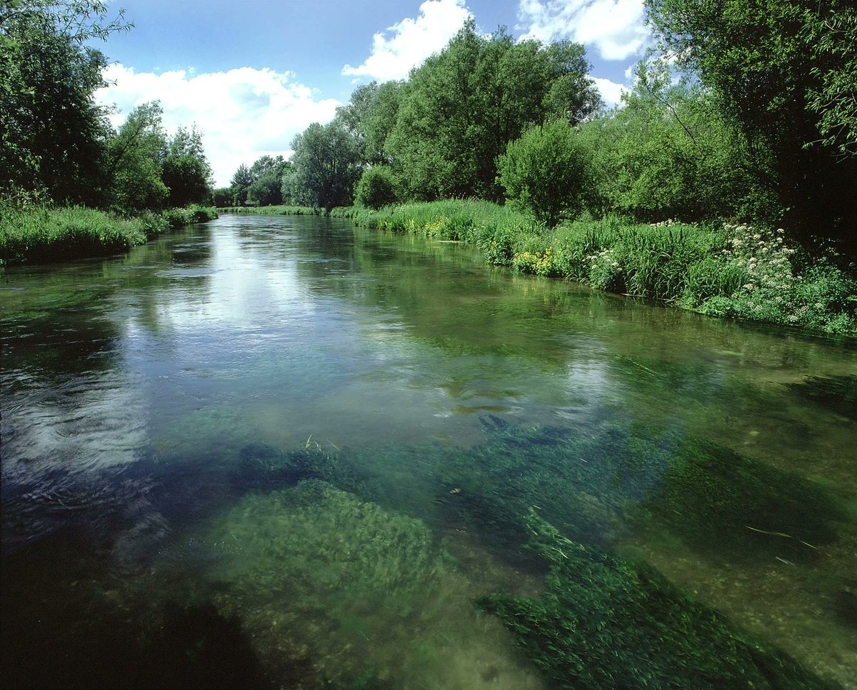 sdnpa's tweet photo. Healthy chalk streams help mitigate climate change.

Streams emit and store carbon and methane.

In deeper streams, microorganisms can convert methane into useful carbons for water dwelling invertebrates, which delays the release of carbon into the atmosphere.

📷Nigel Ridgen https://t.co/eNivmCaQvr