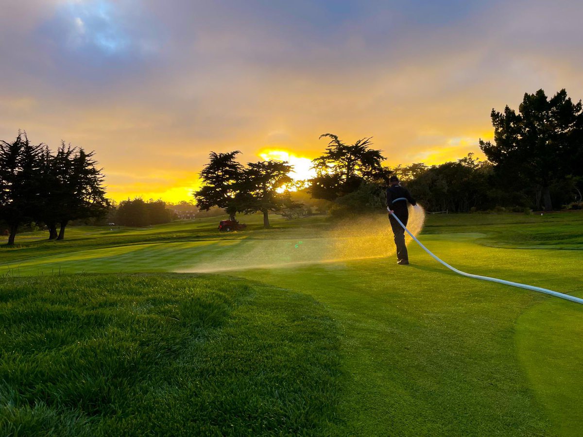 RainBirdGolf tweet media