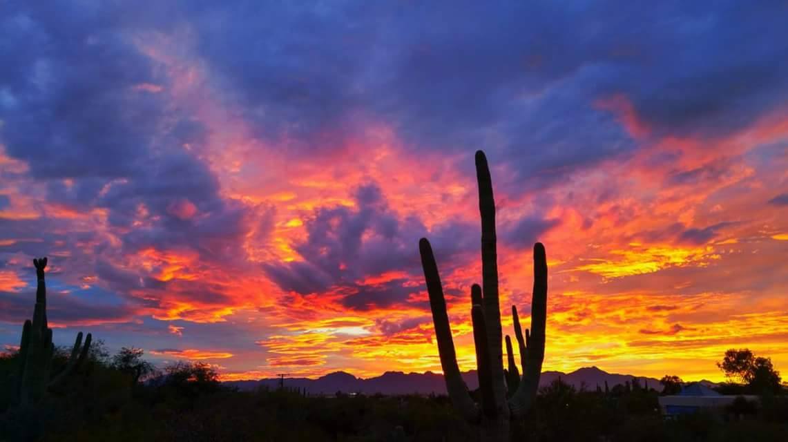 Jeffjjc63's tweet photo. @ATTexplore “Sharing is caring!”  #attexploresweeps Sunsets! @tiptoeshorty https://t.co/InpLS44Wyo