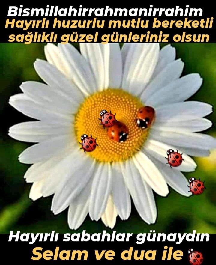 selamün aleyküm 
Rahmetullahi ve berekatühü 🇹🇷🤲❤