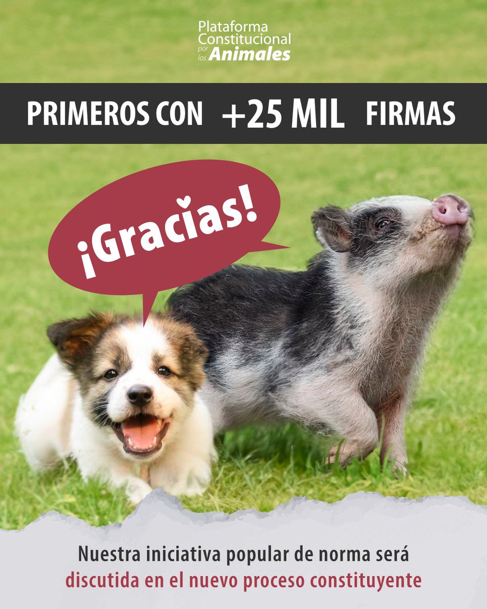 Fundación Veg tweet media
