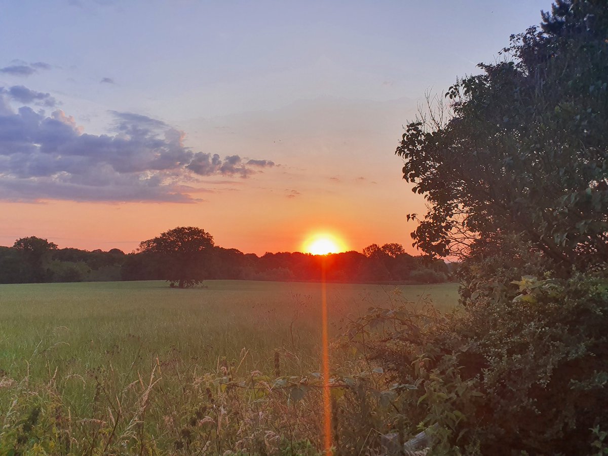 AntandDick's tweet photo. 5am this morning.  Not a bad view for when you can't sleep and need a morning coffee.  Just chill #ElonMusk vs #MarkZuckerberg ....there's more to life than your apps! #SaturdayVibes #SaturdayMorning https://t.co/BcBeKmIrx1