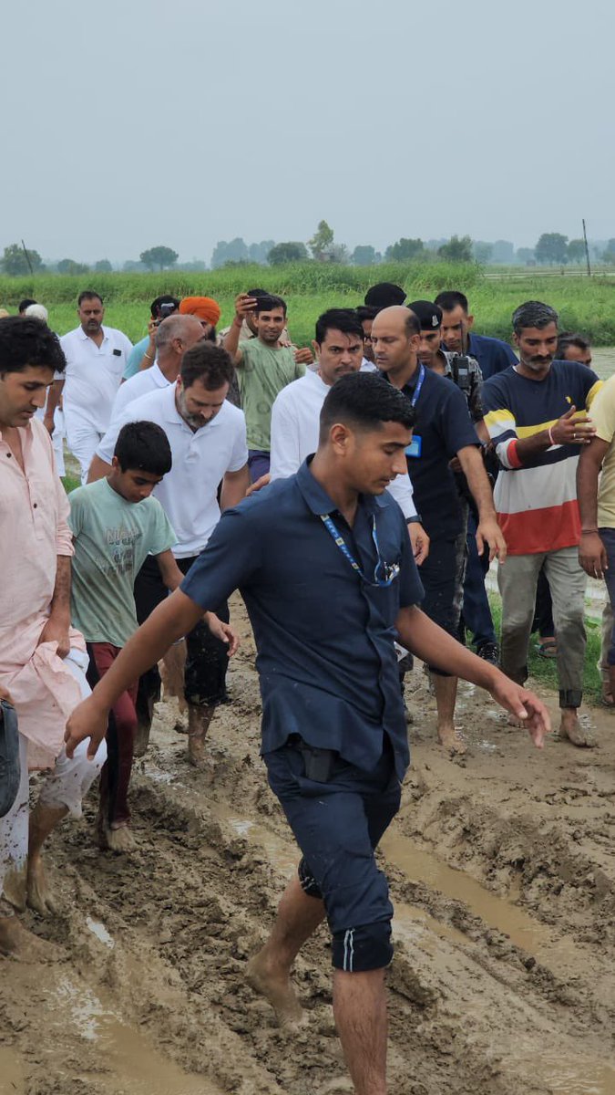 DeependerSHooda's tweet photo. आज सोनीपत के गाँव मदीना में खेत में धान की रोपाई कर रहे किसानों के बीच पहुंचें @RahulGandhi जी।

राहुल जी दो घंटे खेत में किसान-मज़दूरों के साथ रहे - यहाँ उन्होंने ट्रैक्टर भी चलाया, धान की पयोध भी लगाई, किसानों के साथ ख़ाना भी खाया.. https://t.co/32BaesrXOa