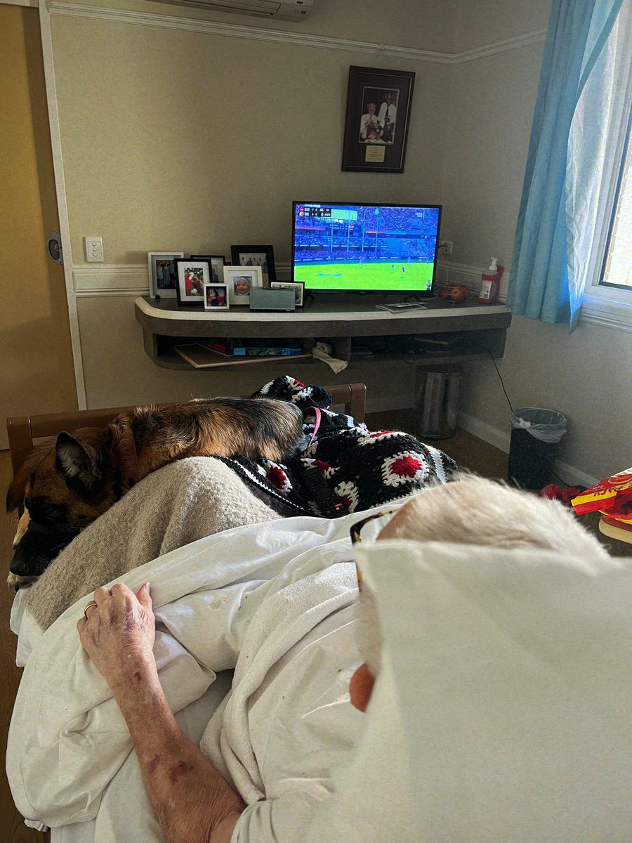 ZillaGordon's tweet photo. Who’s happier: Dad watching the football or the dog snoring on the bed? #ALFLionsEagles https://t.co/tCCBYVOc6U