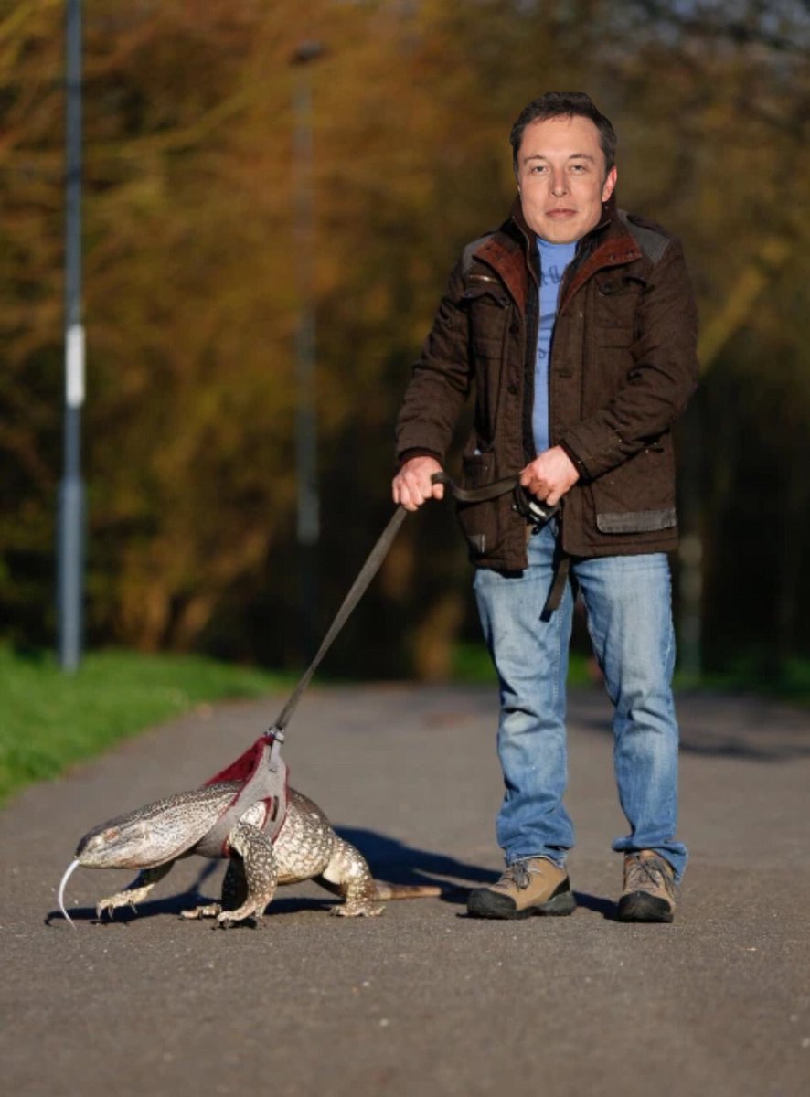 <a href="/ElonMuskAOC/">Not Elon Musk</a>