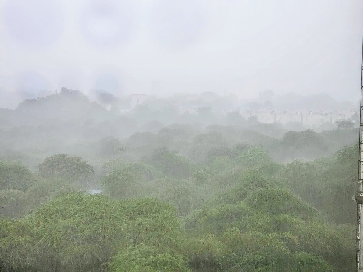 DrAmbrishMithal's tweet image. #viewfromthewindow, 9.30 am
Saket 

#delhi #delhirains #delhimonsoon #docpix

@max