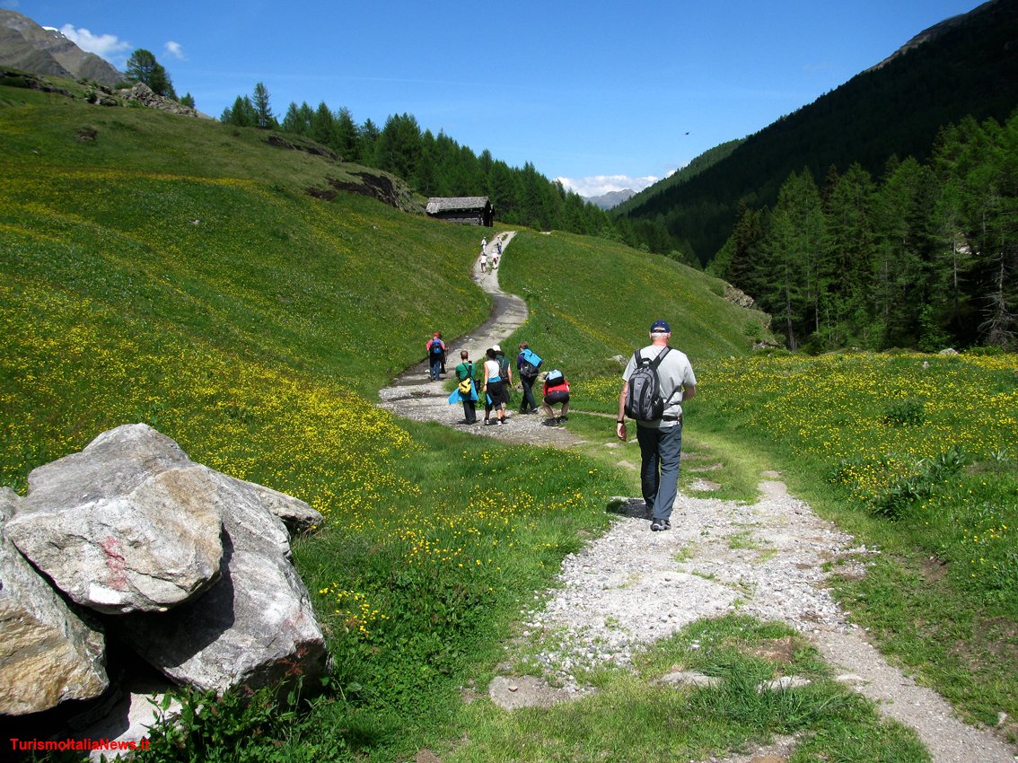 TurismoItaliaNw's tweet photo. Aigae nella Rete dei Cammini e dei Sentieri di Calabria, un progetto pilota per lo sviluppo dell'ecoturismo 
Leggi la notizia https://t.co/eyk0u2rj3n 

#aigae #retedeicammini #calabria #sentieridicalabria #turismo #ecoturismo @GAE_AIGAE https://t.co/4JNEW7GIn5