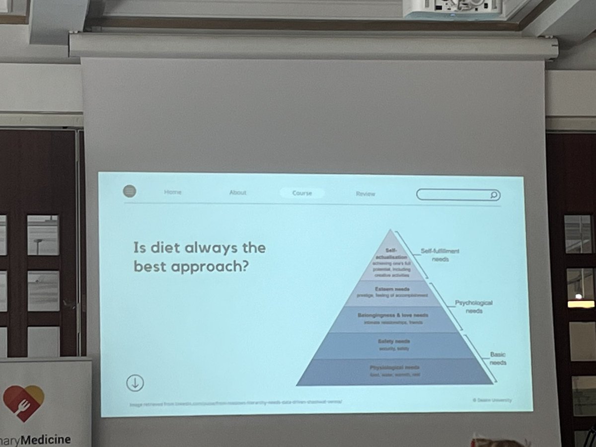 Dr Amy Loughman tweet media