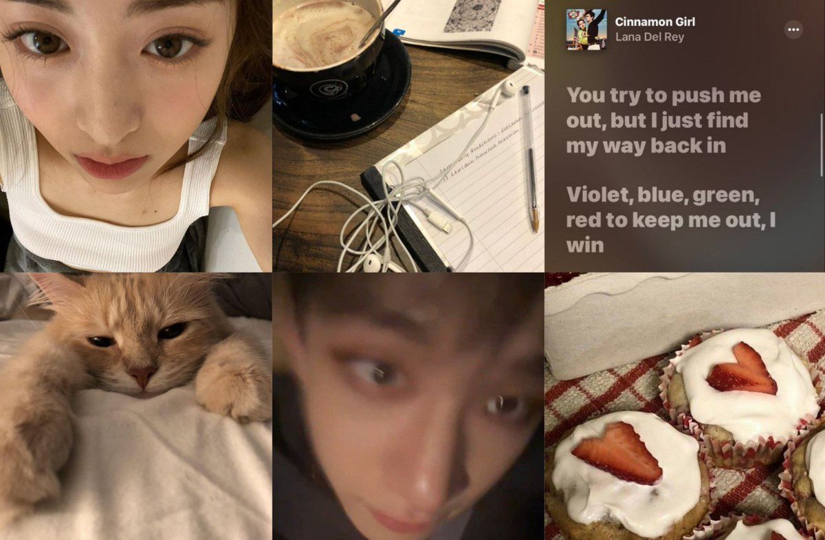 Cwountess's tweet image. hellaur, I'm Jey and I'm newbie in #studytwt. I'm looking for new study buddies! { #moots } 

— about me! —
𖤝 aries, entp-t
𖤝 08L ; 10th grade
𖤝 mUsic 🎧
𖤝 I like lana dr, taylor s, skz, le ssera 👹
𖤝 '26 fighters 💥

let's be fwend and help rt/like! thank you ♥️ #AMBISVERSE