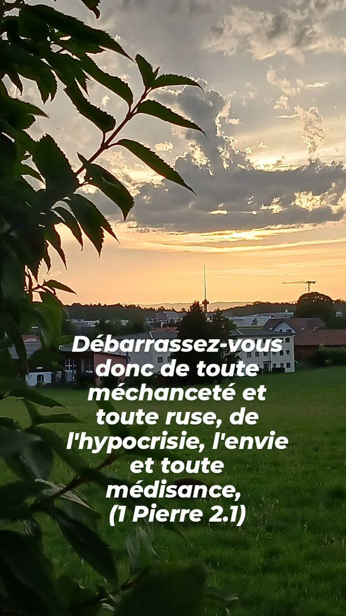 Daniell69639963's tweet image. Aimez-vous les uns les autres...#foi #commandements