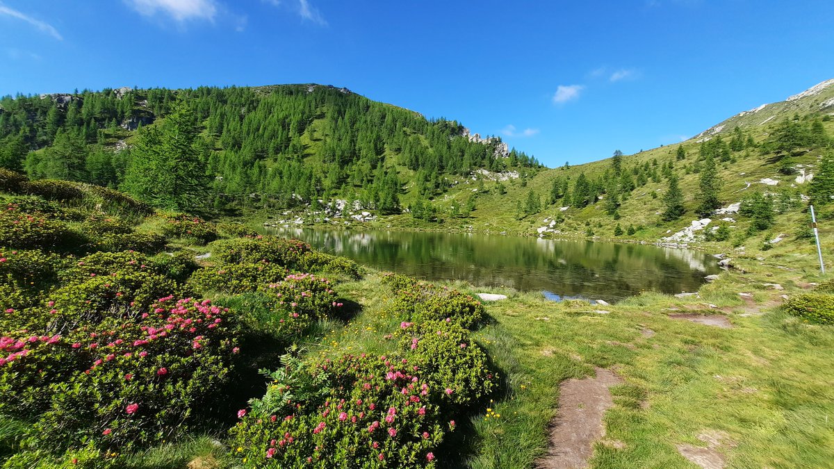 Auf meiner Webseite hikingTICINO.com sind inzwischen 12 wunderschöne Genusswanderungen veröffentlicht.
Alle Routen habe ich selbst gewandert, dokumentiert, bebildert und bewertet, sodass ihr entscheiden könnt, welche Wanderungen sich für eure Ferien im Tessin eignen.