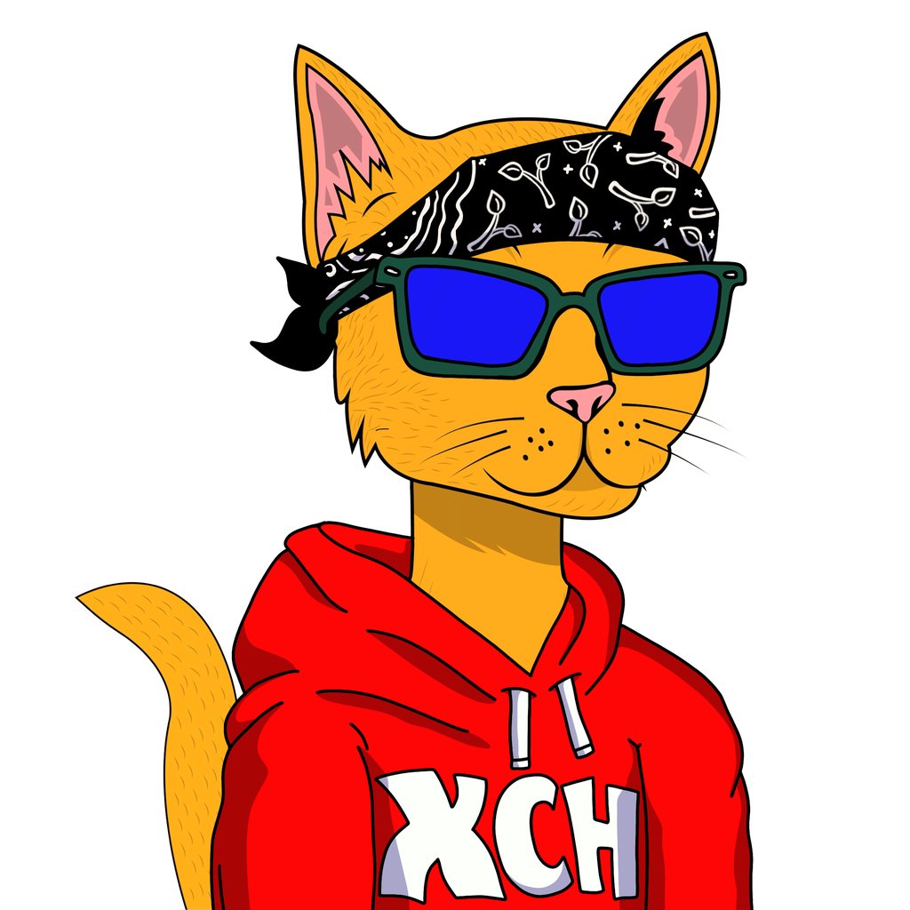 Space Time Cats 🌱 tweet media